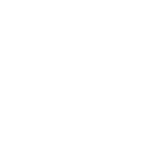 BRW-Fast-100