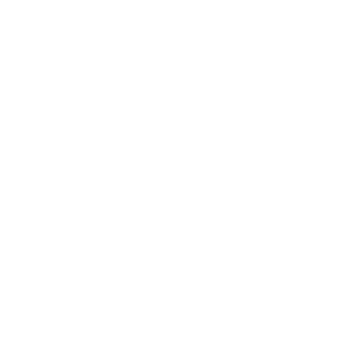 Stevie-BRonze-Winner